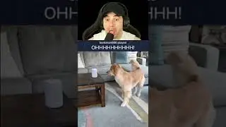 Try not to laugh! My viewers have perfect timing!