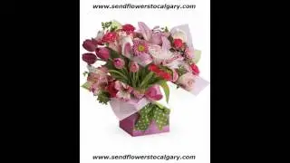 Send flowers from Slovenia to Calgary Alberta Canada