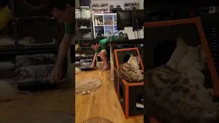 Who is supposed to be the adult here...