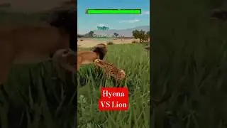 Hyena Vs Lion! Savannah Life | Roblox