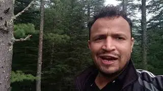 FRH Koti Kanasar फॉरेस्ट गेस्ट हाउस कोटि कनासर में आज का डेरा