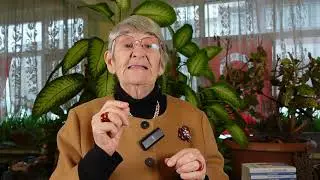 SAÇ DÖKÜLMESİ NASIL ÖNLENİR? HANGİ TOKSİNLER SAÇLARI DÖKÜYOR? PROF. DR. CANAN KARATAY