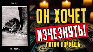 Что он действительно чувствует к вам? Именно сейчас! Его мысли 🧡 таро расклад ♥️ онлайн гадание
