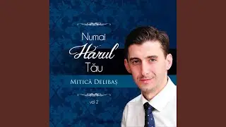 Numai mana Lui