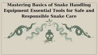 Mastering Basics of Snake Handling Equipment Essential Tools for Safe and Responsible Snake Care