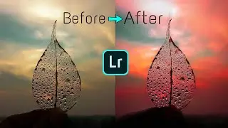 Nature Photo Edit | Lightroom Photo Edit | Lightroom Photo editing tutorial | Lr Edit | Iconic Tips