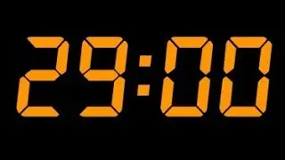 29 minute timer