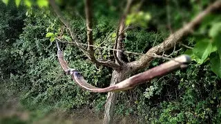 How To Boost Bow Performance Extremely