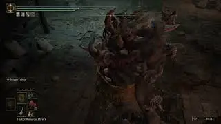 Braggart's Roar Build
