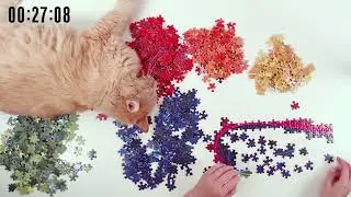 1000 Piece Satisfying Time Lapse Rainbow Spiral puzzle- Fun watch