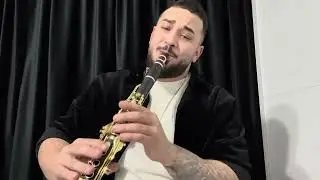 Alin Vasile - ( M-a pus viața la &icirc;ncercare) Tutorial Clarinet hora 2024