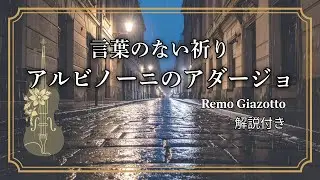 名曲【アルビノーニのアダージョ】弦楽版レクイエム～Adagio～　#violin #dtm #violincover #classic #adagio #albinoni #requiem #相棒
