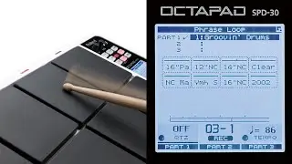 Hand Dholak octapad spd-30 By Herun Prasad Delhi India