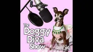 The Doggy Diva Show - Episode 185 The Importance of Dental Health for Pets