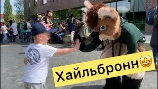 Хайльбронн - город из камня и цветов 🌹🦋👍 Гуляем по центру города 👍