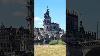 Dresden an den Elbwiesen  #shorts #Dresden