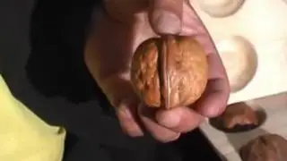 cevizler