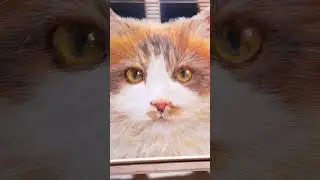 Some things shouldn&rsquo;t fade with time.#petmemory #custompet #petart  #animalart #pets #petportrait