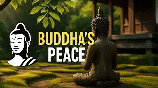 Buddha&rsquo;s Peace: Meditation in Nature&rsquo;s Embrace