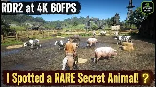 RDR2 at 4K 60FPS: I Spotted a RARE Secret Animal! (RTX 3050 DLSS)