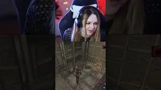 Когда доволен клавиатурой #Rayne #VampireHunter #Dampir #GoreGame #actionhorror #twitch #funny