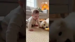 Let's play together #baby #babyandpuppy #cutepuppy #cute #cutebaby #adorable
