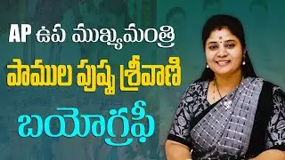 AP ఉప ముఖ్యమంత్రి పాముల పుష్ప శ్రీవాణి బయోగ్రఫీ | AP Deputy CM Pamula Pushpa Sreevani Biography