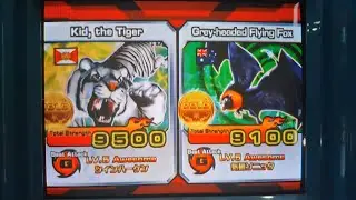 ANIMAL KAISER-BRONZE BATTLE: KID, THE TIGER VS GREY-HEADED FLYING FOX