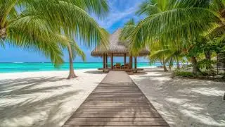Palm Path