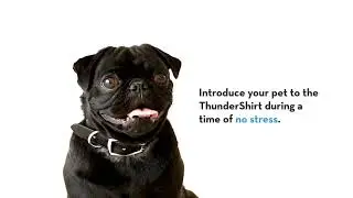 How Does a ThunderShirt Work?