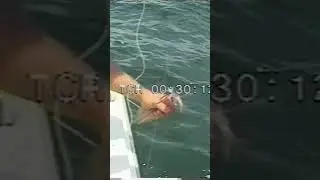 Programa Caminhos da Pesca   Lula #marcoantonioguerreiroferreira #fishing #pesca
