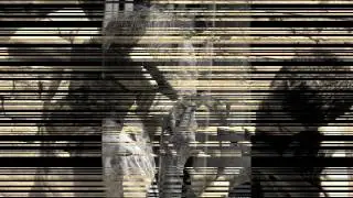 CATHEDRAL RECORDS FREESTYLE