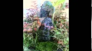 gardenmakers ganesha
