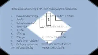 BELGOMILK_TYROBOX®_Φορητό τυροκομείο