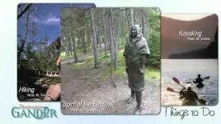 Things to do in Gander, NL
