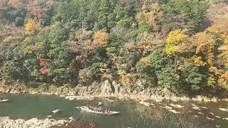 Romantic Train Ride in Kyoto Sagano