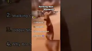 Ranking Best Cow Moments
