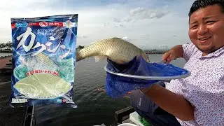 マルキューのカクシンを4種類の釣り方で試す！神扇池で両ダンゴ