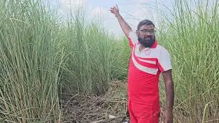 बियास दरिया में गिरी एक बुजुर्ग महिला || Ashu Malik Gotakhor || 9942000008