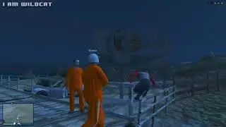 Delirious Shark Eating A Cheeseburger