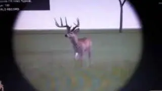 deer hunter 2005 world record