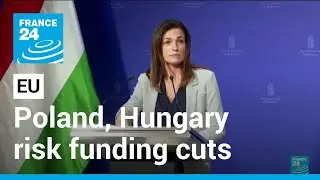 Poland, Hungary risk funding cuts after EU rule-of-law decision &bull; FRANCE 24 English