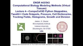 E443/543 Virtual Tissues, Lecture 4, Plots and Cell Growth and Division in CC3D, January 30, 2024