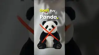 Panda from Amazon 🐼💕 &ldquo;Un Dino Ki  Yaadein#FriendshipGoals#DostiForever#BestFriends#trending#viral
