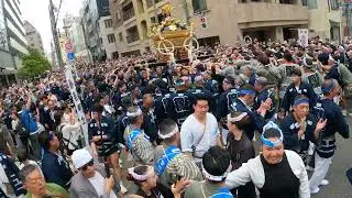 【Torigoe Festival 2025】Sengan Mikoshi Through Narrow Alleys in Yanagi Kita | Powerful Parade【4K】