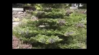 Dr  Neil's Garden (Duddingston)