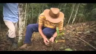 FEDECOVERA The best Cardamom in the world Ingles