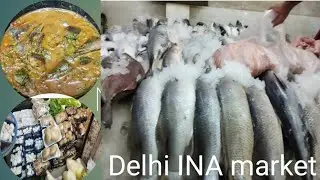 Delhi INA market tagi fresh mackerel leiruba