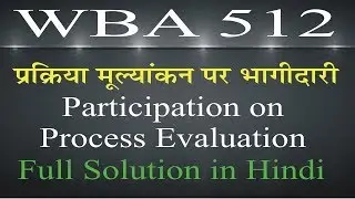 WBA 512 Participation on Process Evaluation