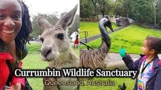 Currumbin Wildlife Sanctuary // Brisbane w/Kids!